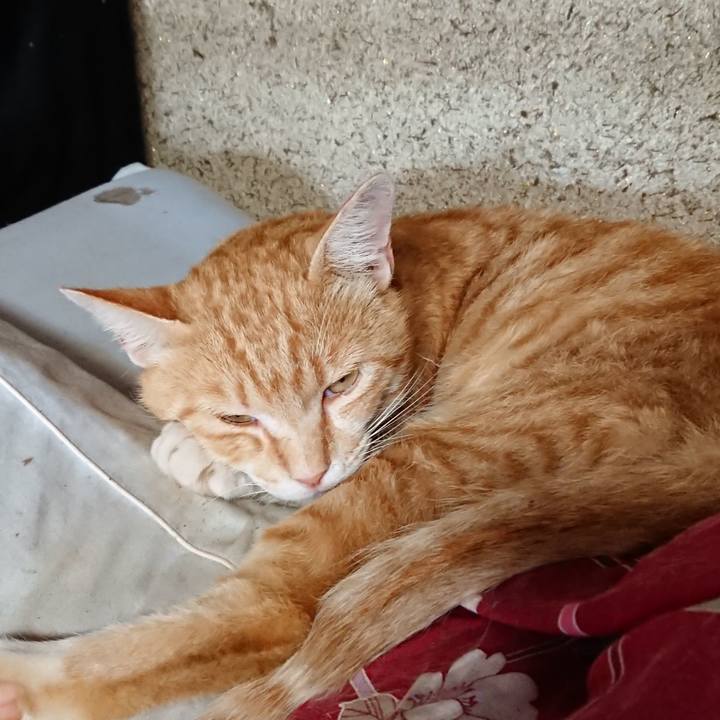 5be7c2b6 de9a 4769 8952 30ba67a80878 1561787362510