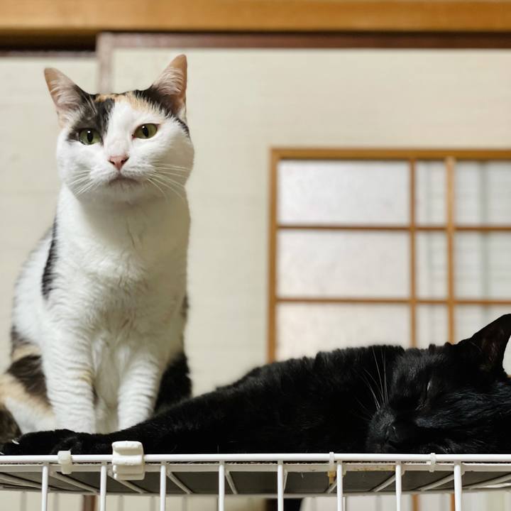 5be7ffa1 1cfa 4a58 b750 67055202abcb 1630546250562