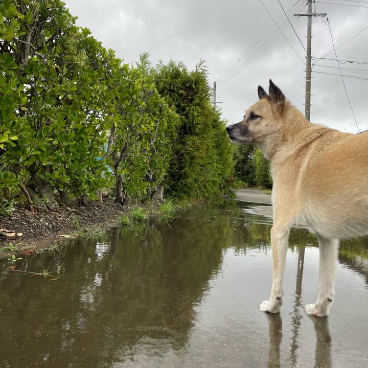 5be822b4 9daa 44a8 89a4 c6a78bdb14e1 1663590404008