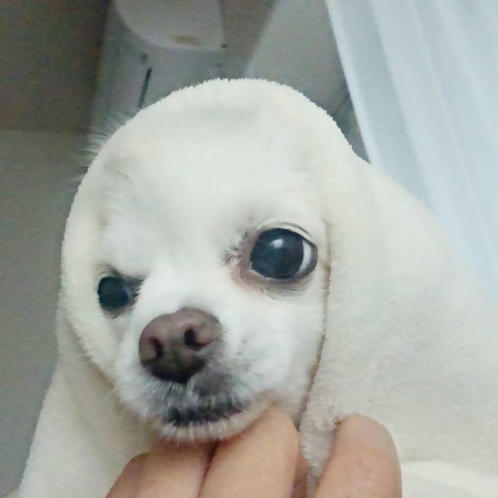 5be835bb 0955 49c7 97e3 7bdca7d0c85e 1513986351399