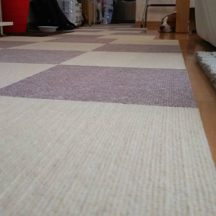 5be83b55 d262 4998 8fc0 d8af01791da0 1564813926749