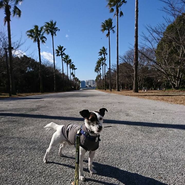 5be8c384 3e07 45c9 b1db d5e162a0e1b9 1514945141088