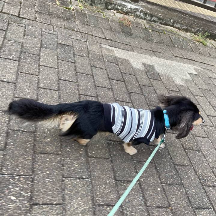 5be8c69d f6b6 4a2b 9d0c 9d38c5941736 1695794917691