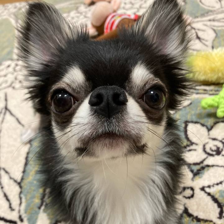 5be8e39a 6a41 4b3f a121 7bfa1e54e01d 1621606221902