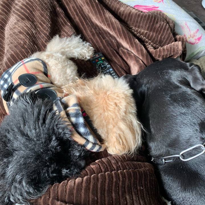 5be8f74e 616a 4279 85f6 2c59f72f39c0 1549761608526