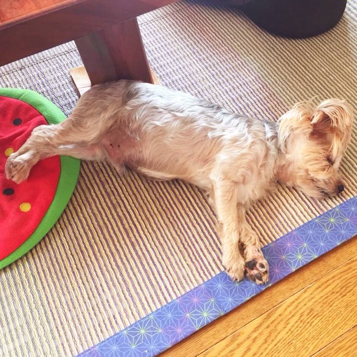 5be91db6 0410 4b69 ab88 c325d7e92c04 1535942290528