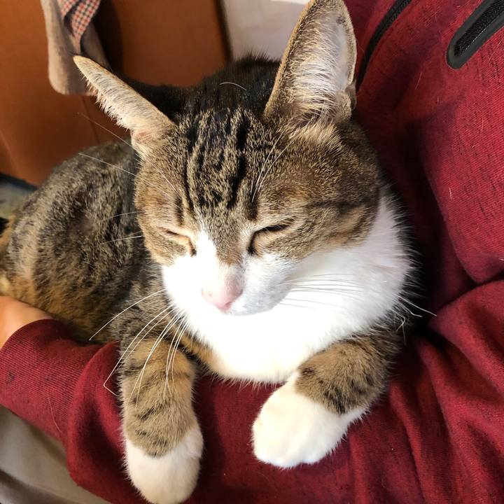 5be93ce7 a8b5 4526 bb8a a300afd755ce 1641188889163