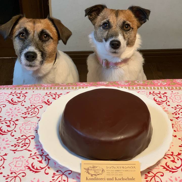 5be94bf7 5b90 4836 80d6 63df6ccc9967 1579351826704