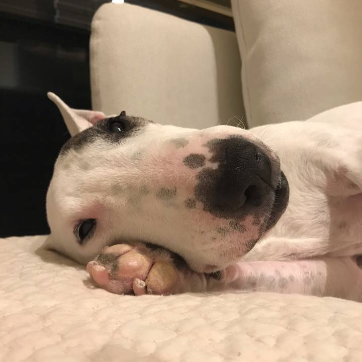 5be94c23 b272 4819 ace3 fa9634fd7b08 1600076679943