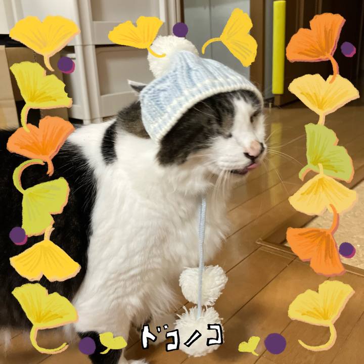 5be95e68 3a28 4fde 9206 0ceae2ee496b 1730964854311