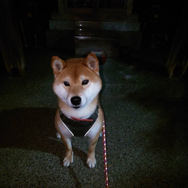 5be9645e f14c 428a b5cc 24a64dd7239a 1769661991509