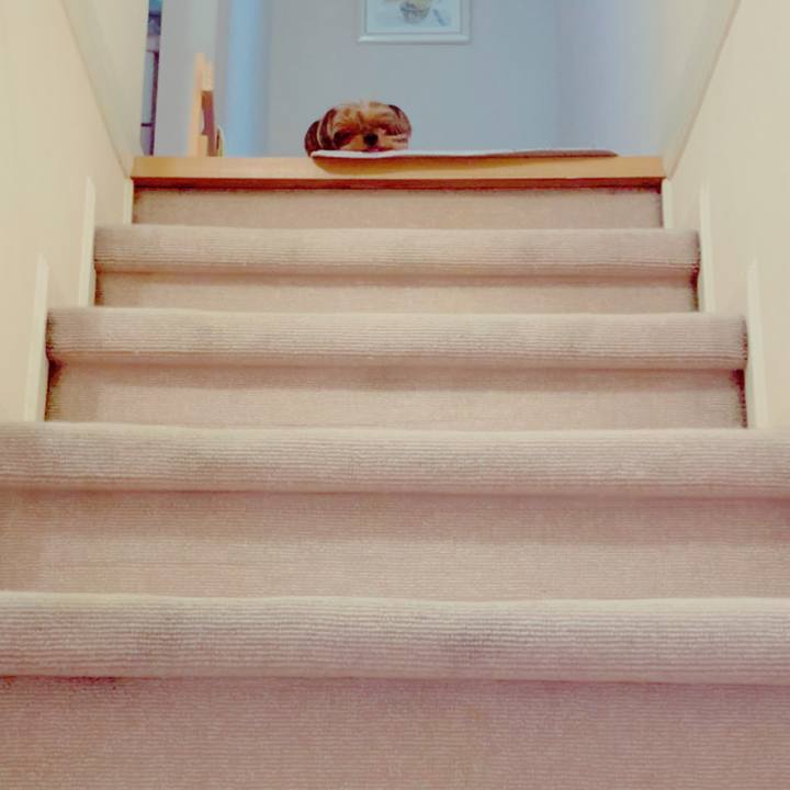 5be97458 e615 44fb b9d8 349ad9ca93ca 1612778428381