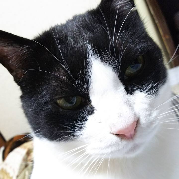 5be97b4a 02a9 43b8 8039 4ea19c417bef 1549111853817