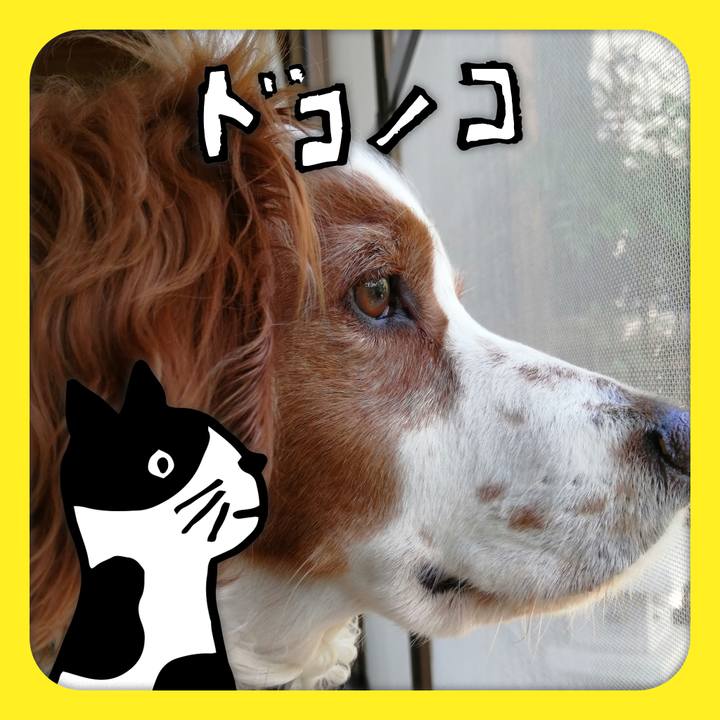 5be9ab4d 53a1 4323 ac2a 63ac56248479 1623065286773