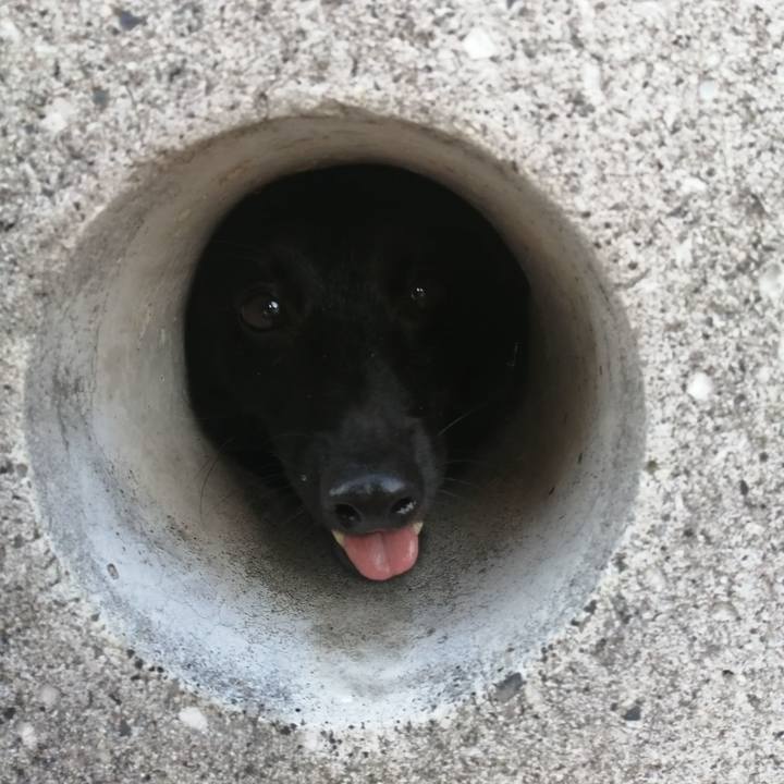 5be9d121 4bf3 4b65 bab0 c13909bf8802 1633125033784