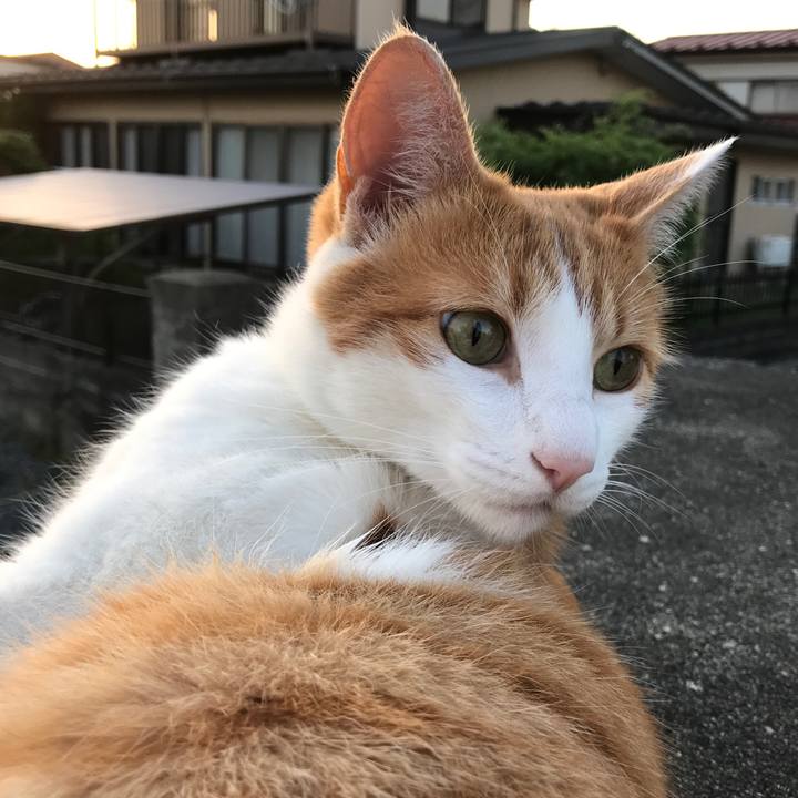 5be9db9e 9cb5 40d1 94d7 32c3272b927a 1528105601611