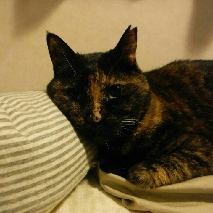 5bea037e b99f 46e1 af99 b338f800659d 1529639316362