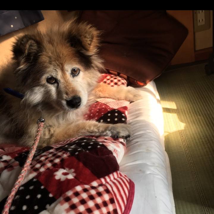 5bea467b 5f9d 4e35 af84 c384d75ab007 1555224004466