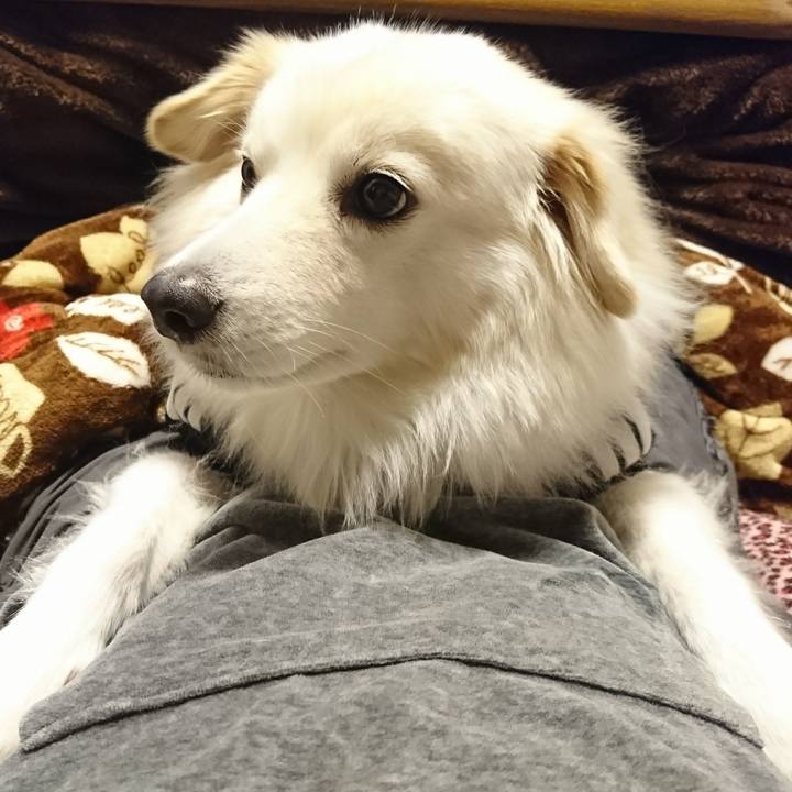 5bead28f b370 436a 89e2 13c97b3cdbc1 1513338911928