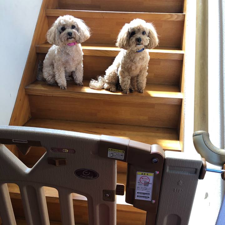 5beadfac 751b 4c46 a623 72b125965e45 1655615706321