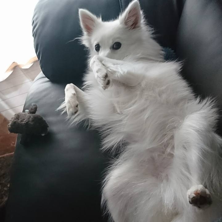 5beaed10 b82c 4203 a199 2c750d2cee7f 1523430238393