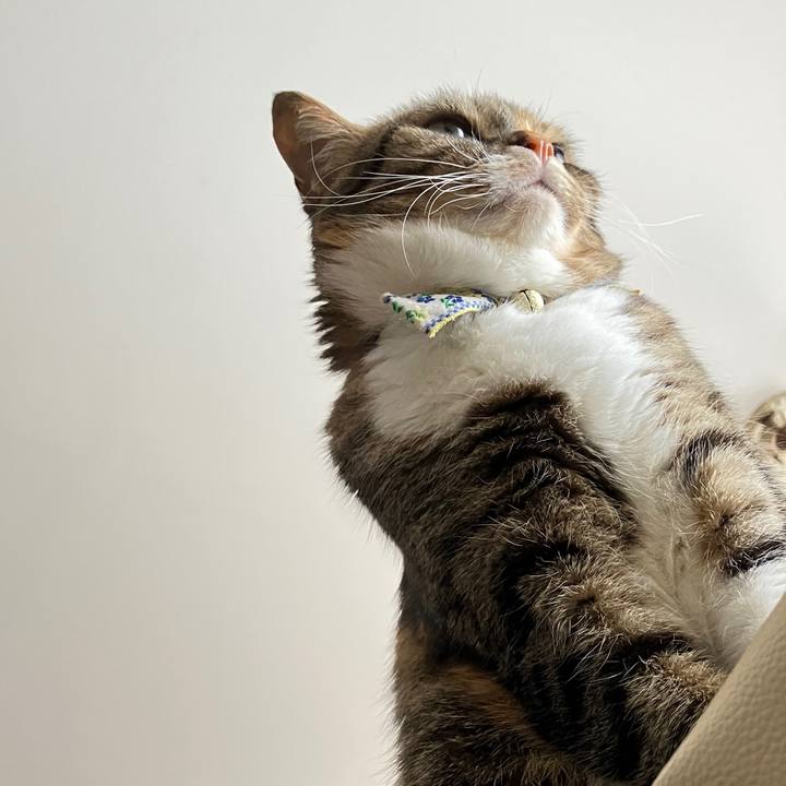 5beb09a4 61e4 4162 ac5a cc4784e64785 1765159596824