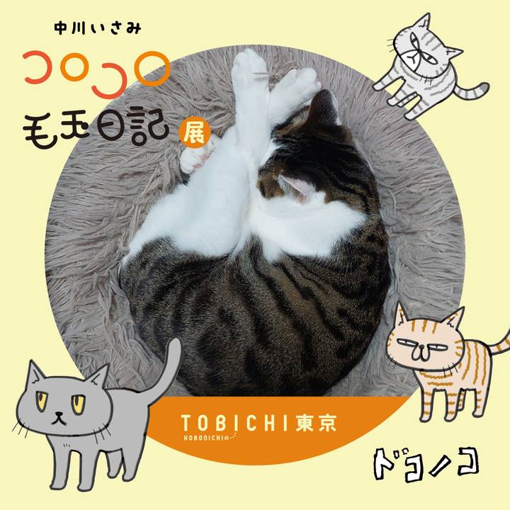 5beb6444 3fd3 4e56 a44a 953a18fc6f47 1740221722185