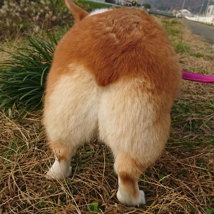 5beb7436 82e7 4f06 81a3 919068a25ff5 1543927023788