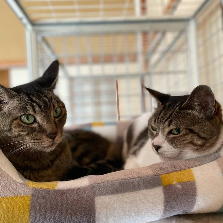 5beb8874 4bdd 4641 ac69 a2e5e4893371 1625708521962