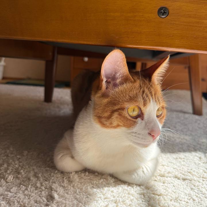 5beb930a f878 48fa 8534 031231805729 1771984292546