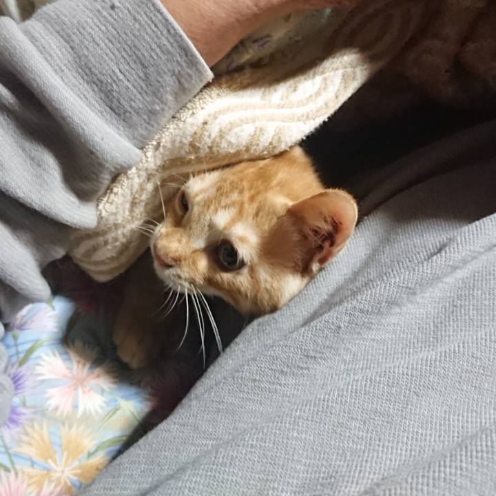 5beb9da5 ac73 4782 aae4 dae8d51f8ff4 1633033672488