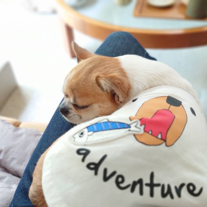 5bebdf34 0113 4cd1 9b78 835272ae59ae 1682237441851