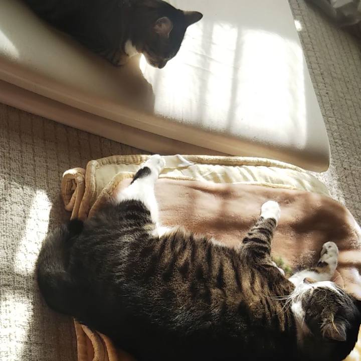 5bebedf2 189b 4e59 920b 9f150b6b6d5b 1615428210397