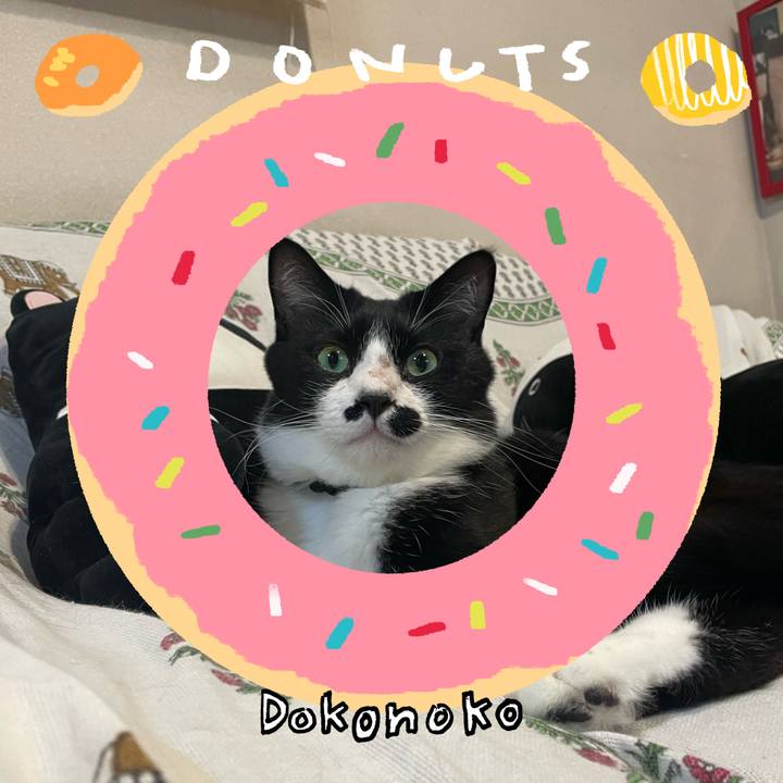 5bebf82f 8d99 4cbd 8ec9 7f154340e975 1744627014900