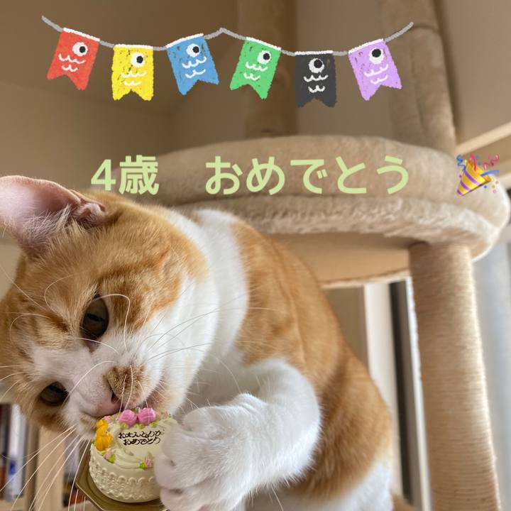 5bebf8ab d8b0 4ec0 ad0e 80b21cf8433c 1683248250309