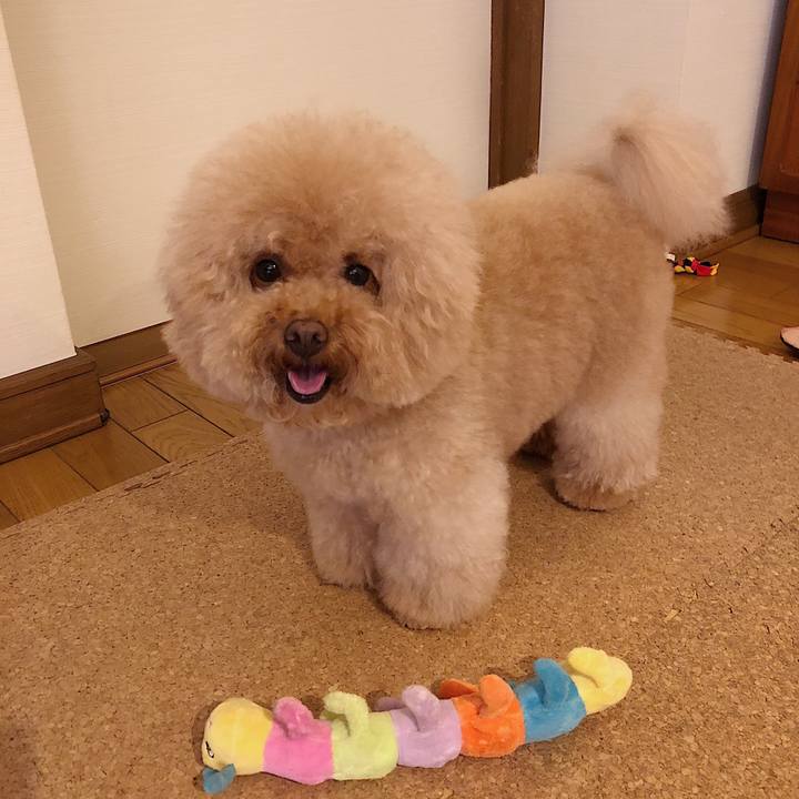 5bec109d 0a51 4e96 99b7 10265d64604e 1532598470727