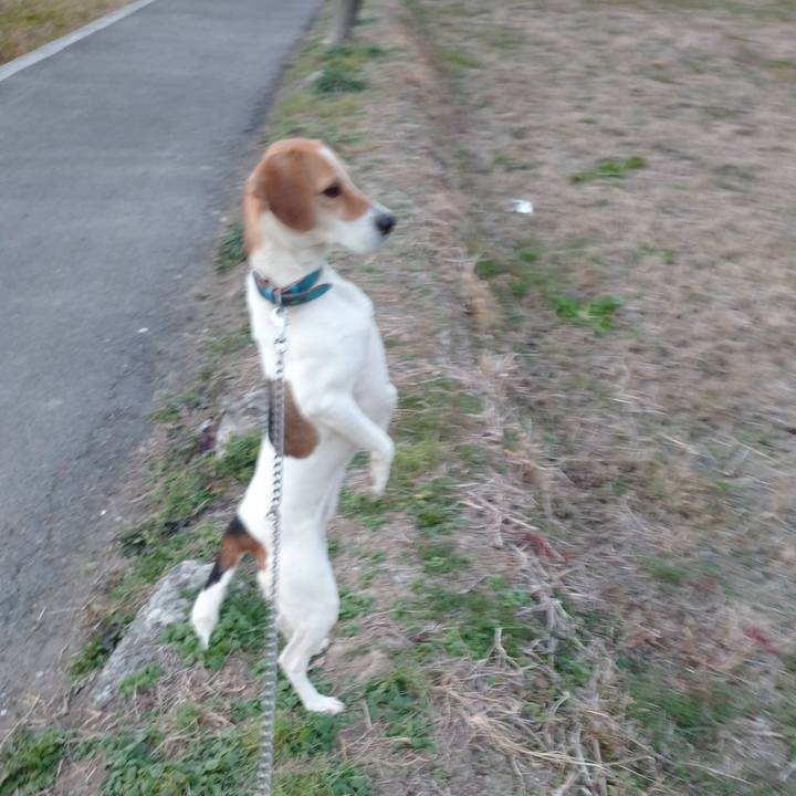 5bec20bc a9e1 45e0 9ce5 54ab24c13526 1607594116674