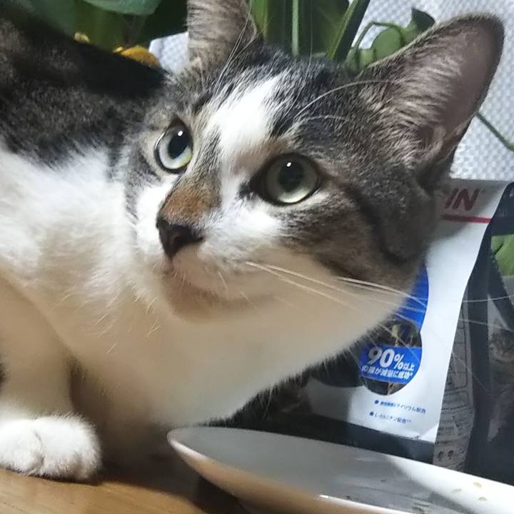 5bec2d37 f1f3 4646 9e1a e2c230f9a35b 1603101031820