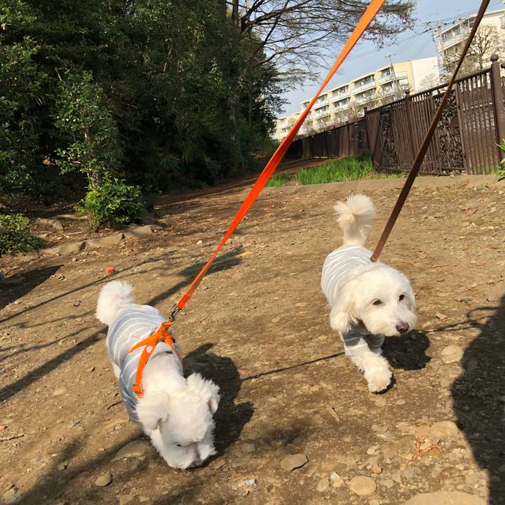 5bec4ea5 81c5 4293 9c48 3aba52077c26 1522115472730