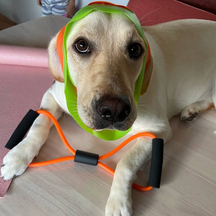 5bec55ee fca3 4f01 85fd e2ed9fea5f0e 1659686737675