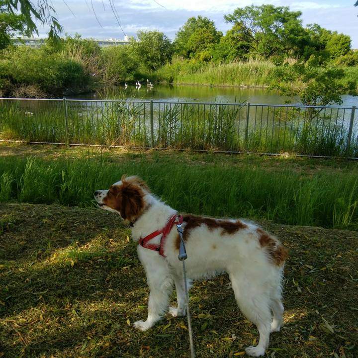 5bec6b5d 0911 4518 9cea b8a076f369e7 1558313632983