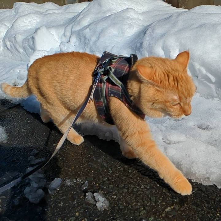 5bec861c 03e1 4101 890d f6b9e65b8afb 1736569824995