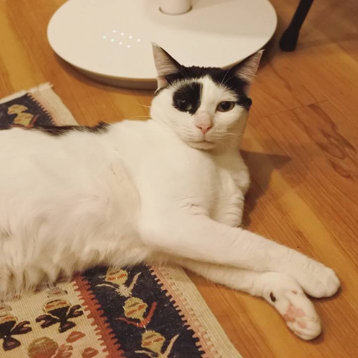 5becbfc7 8719 4d73 87ce 7afff986fbab 1564928801402