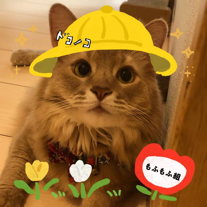 5becc081 d6bc 4128 a296 cf187b85e3be 1712452556527