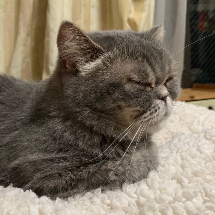 5becca4a 3f88 408d b8cc 26e5ddba72b0 1554569429292