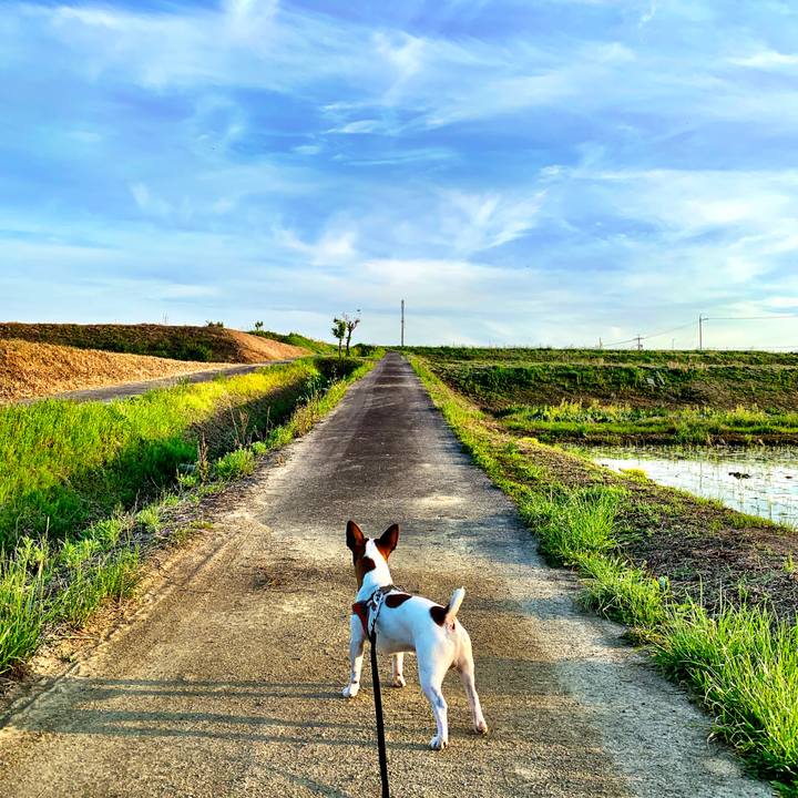 5bece9e1 feee 4bb9 9daf a1696ce2e8a2 1557492903325