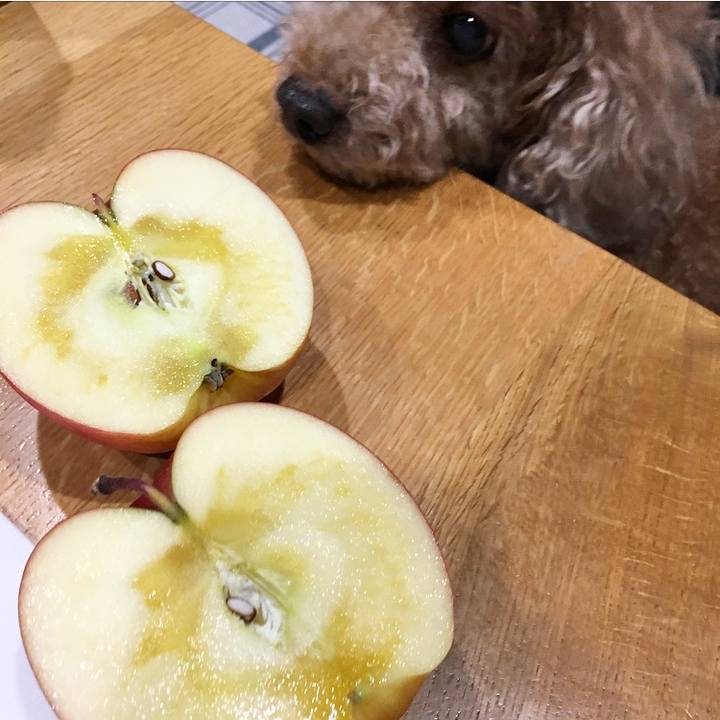 5bececea 06b9 426c b9cb e6d6dd239407 1509693466324