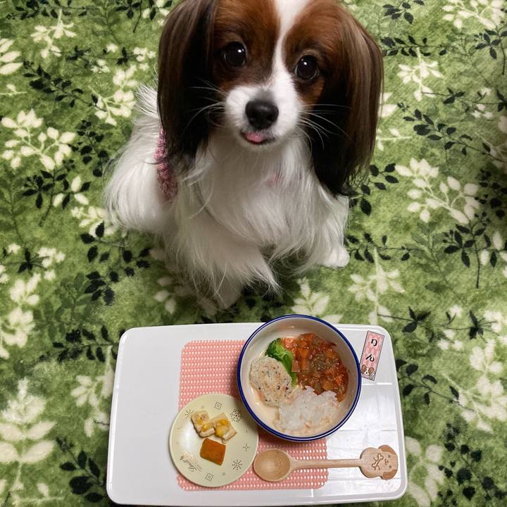 5bed172d 76b7 424a 9410 4b96084d468a 1640339734619