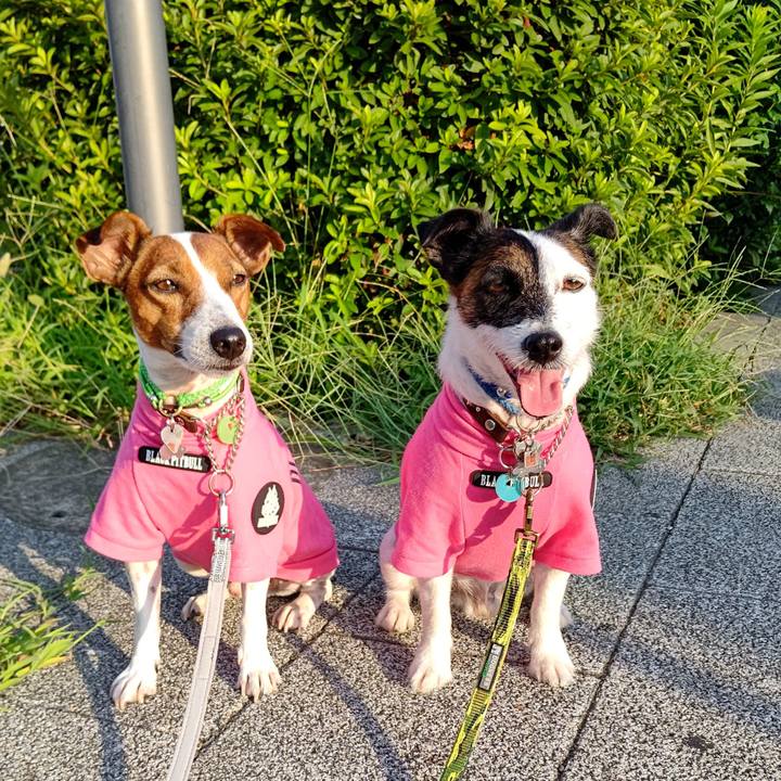 5bed235a 75a5 419a 99eb 1b2efdb11c60 1659994485653