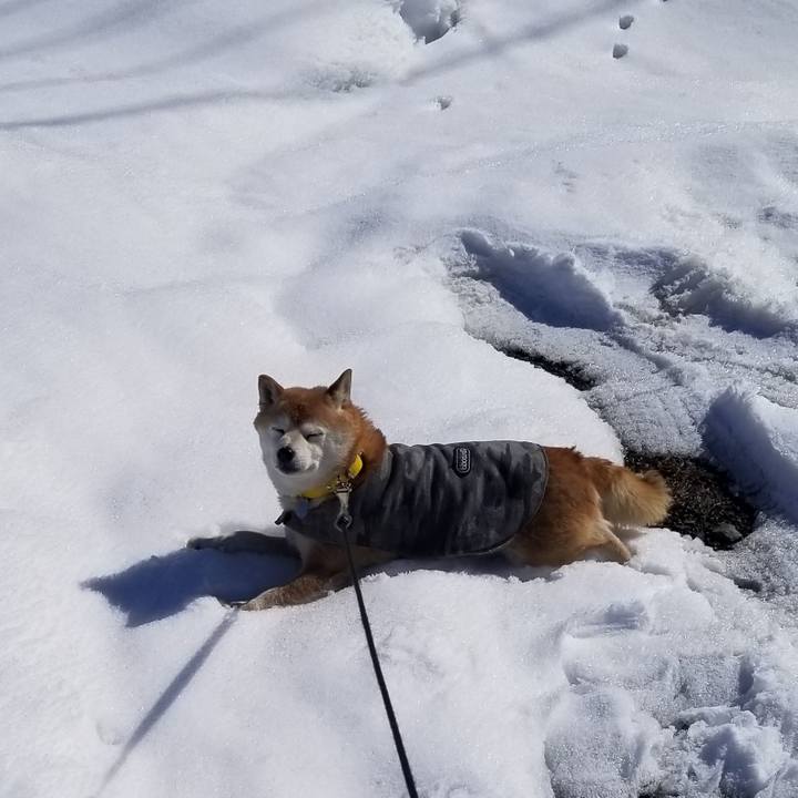 5bed36b8 0300 4bc0 aedc a97330e89ffe 1677471558890